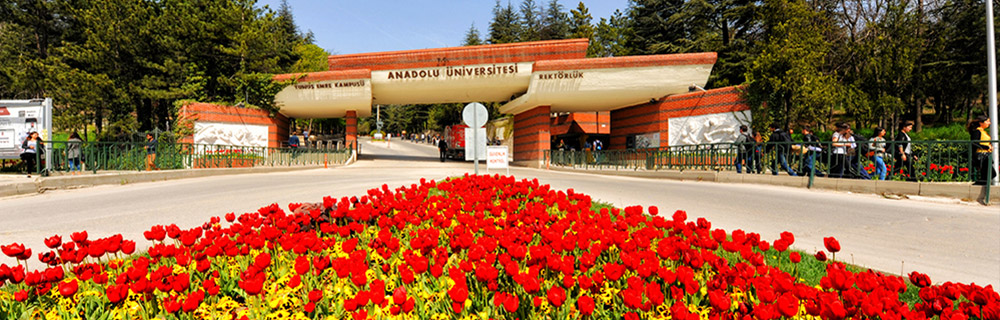 single-services-family